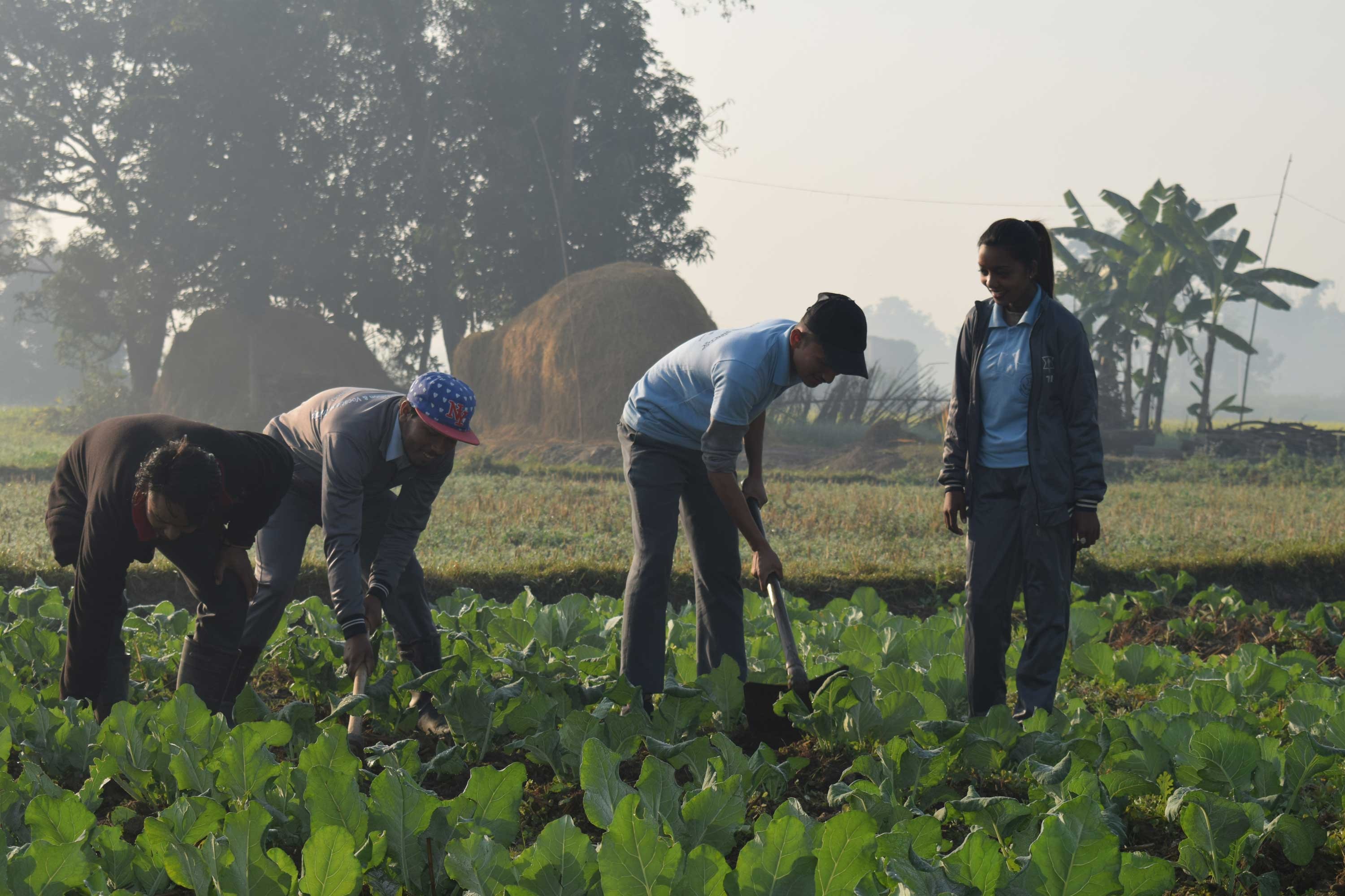 करेसाबारीमै कक्षा, करेसाबारीमै परिक्षा