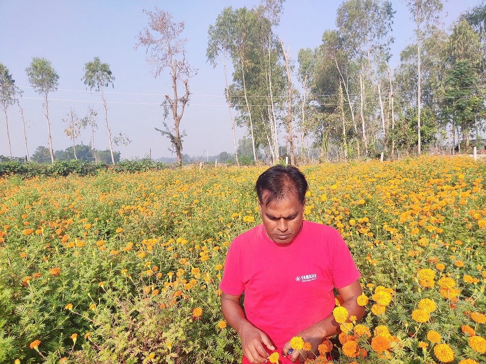 फूलखेतीमा रमाएका सीताराम