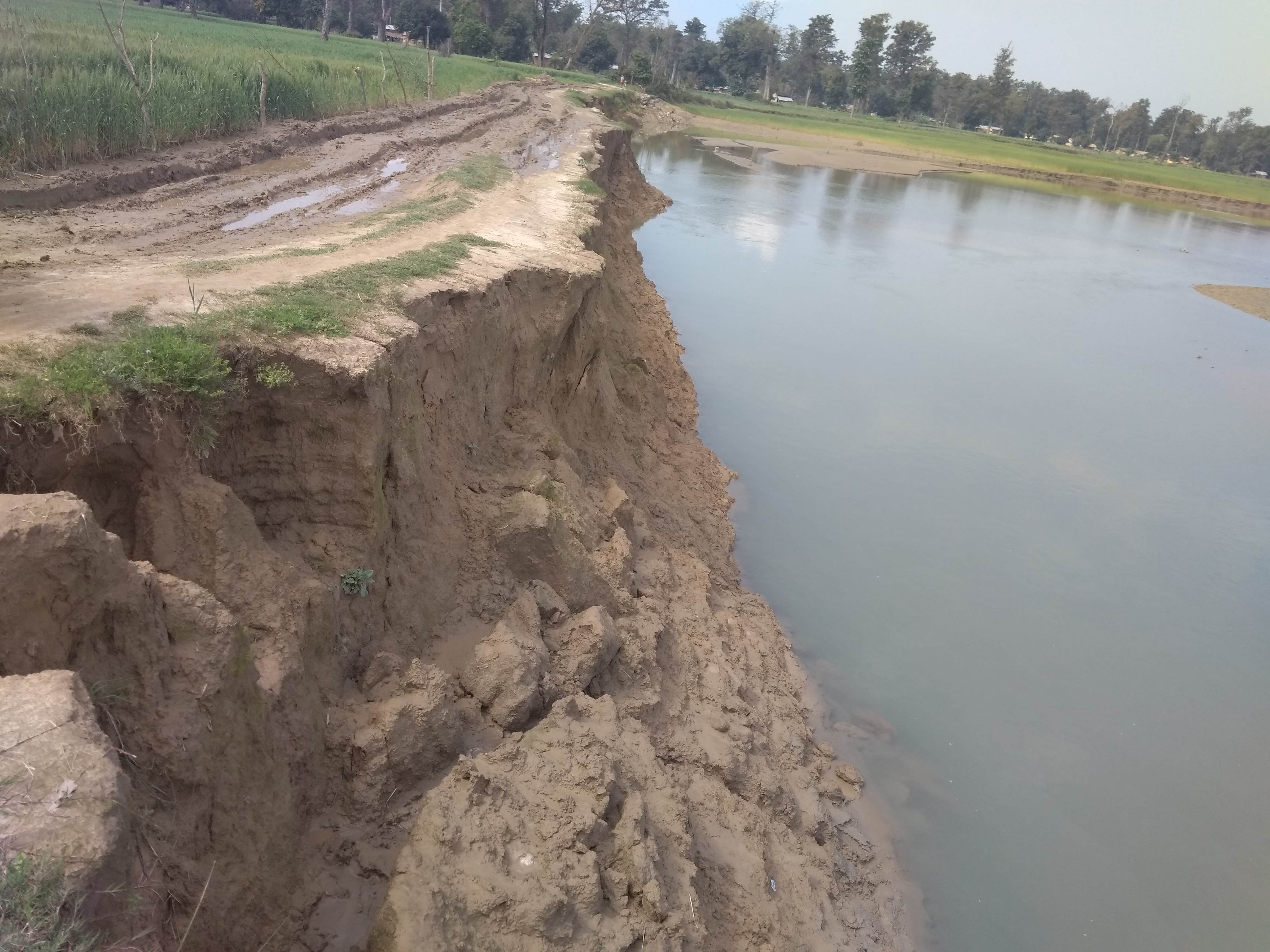 वर्षा नलाग्दै तिब्र कटानः स्थानीय त्रसित