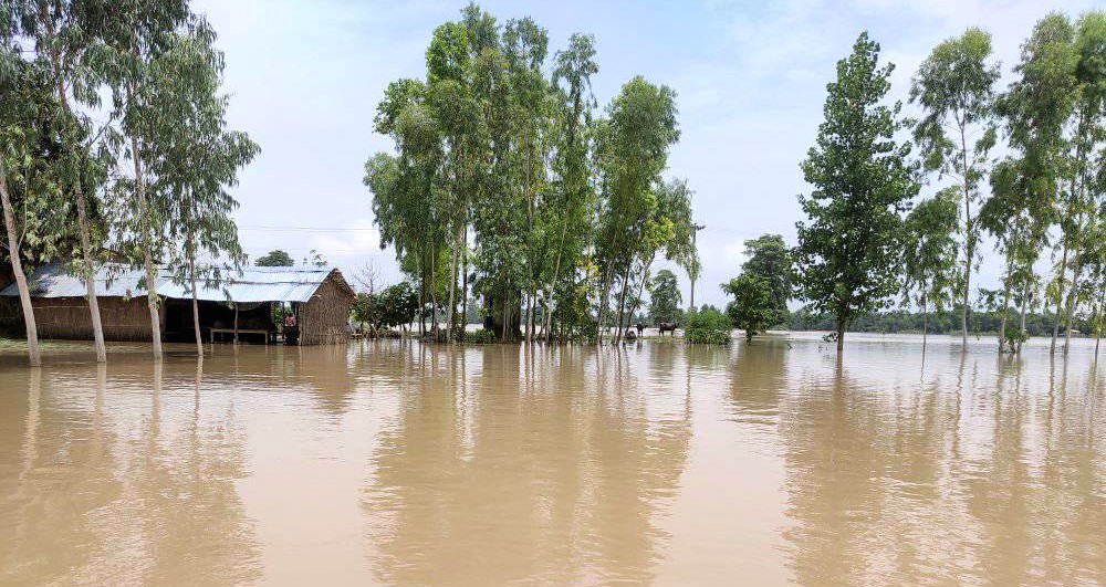 बाढीमा बेपत्ता शाहीको शव भेटियो