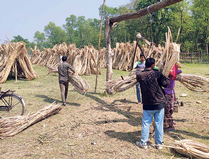 बढ्यो शीतलहर: ज्येष्ठ नागरिकलाई दाउरा वितरण