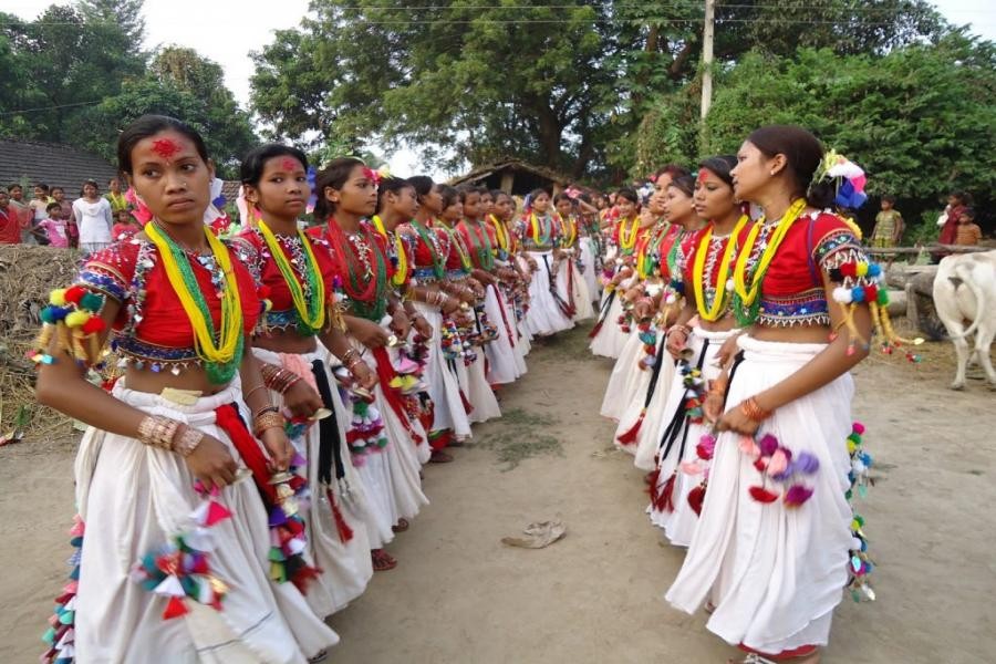 थारु समुदायमा माघीको रौनक