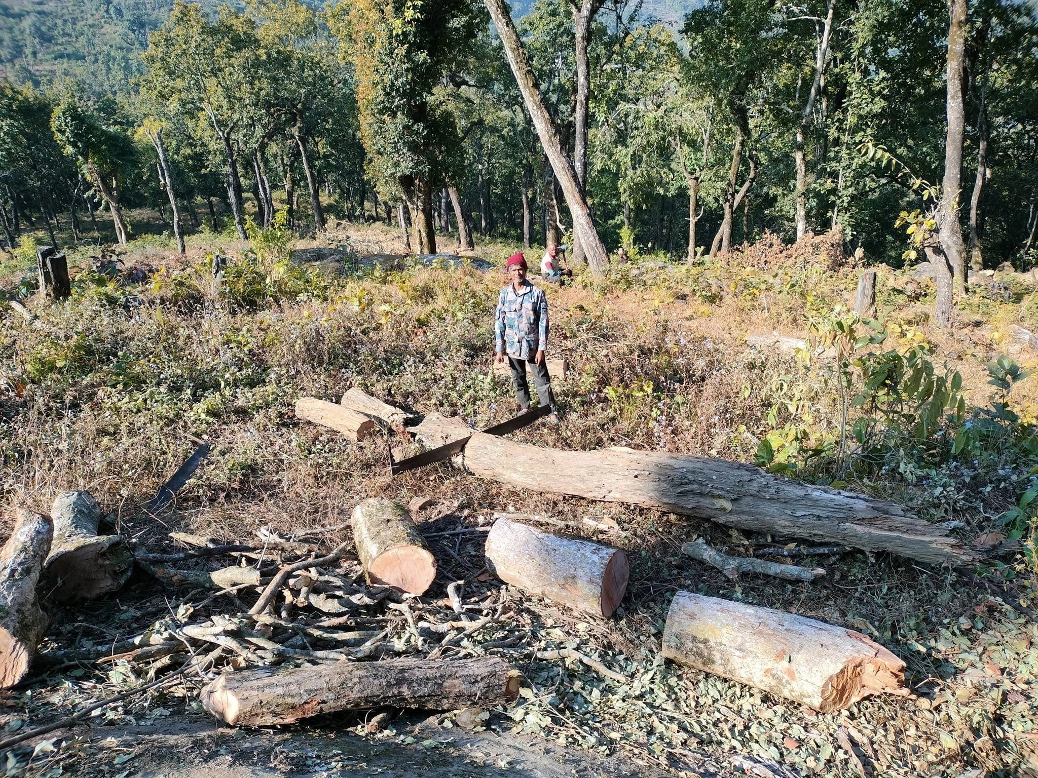 राजकाँडाको चुरे वन क्षेत्रमा व्यापक फडानी