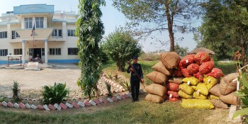 भन्सार छलिका लाखौँको सामान बरामद