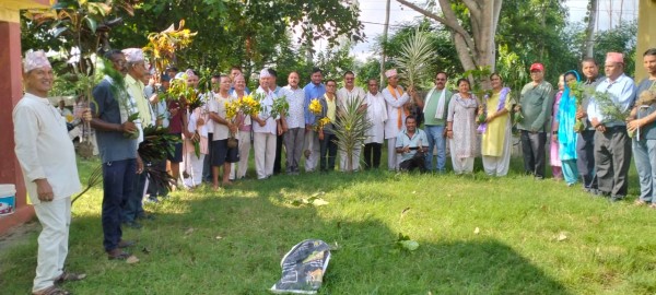 बिपी स्मृती दिवसको अवसरमा बृक्षारोपण